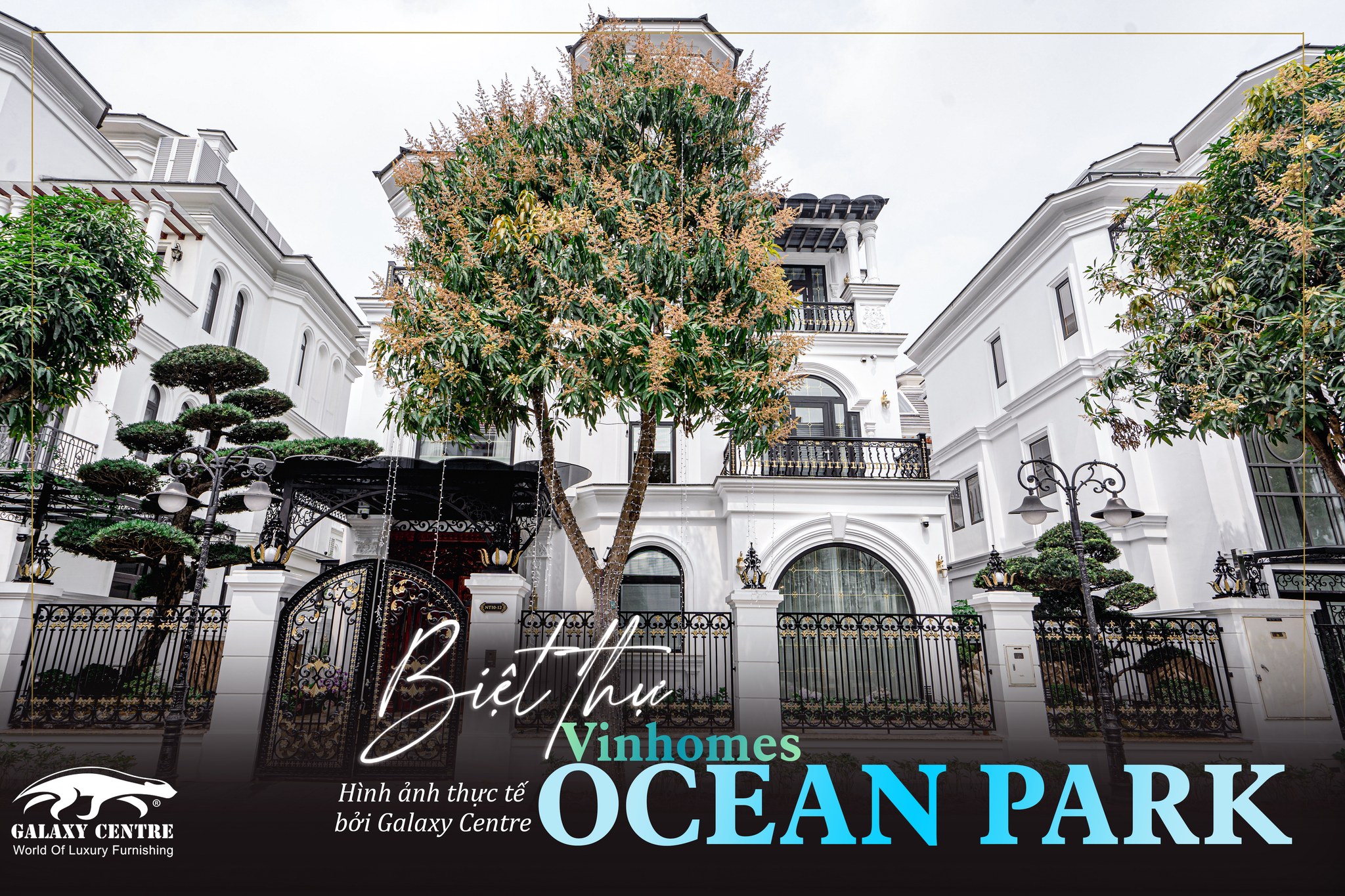 Chiêm Ngưỡng Sự Hoàn Hảo Công Trình Biệt Thự Vinhomes Ocean Park