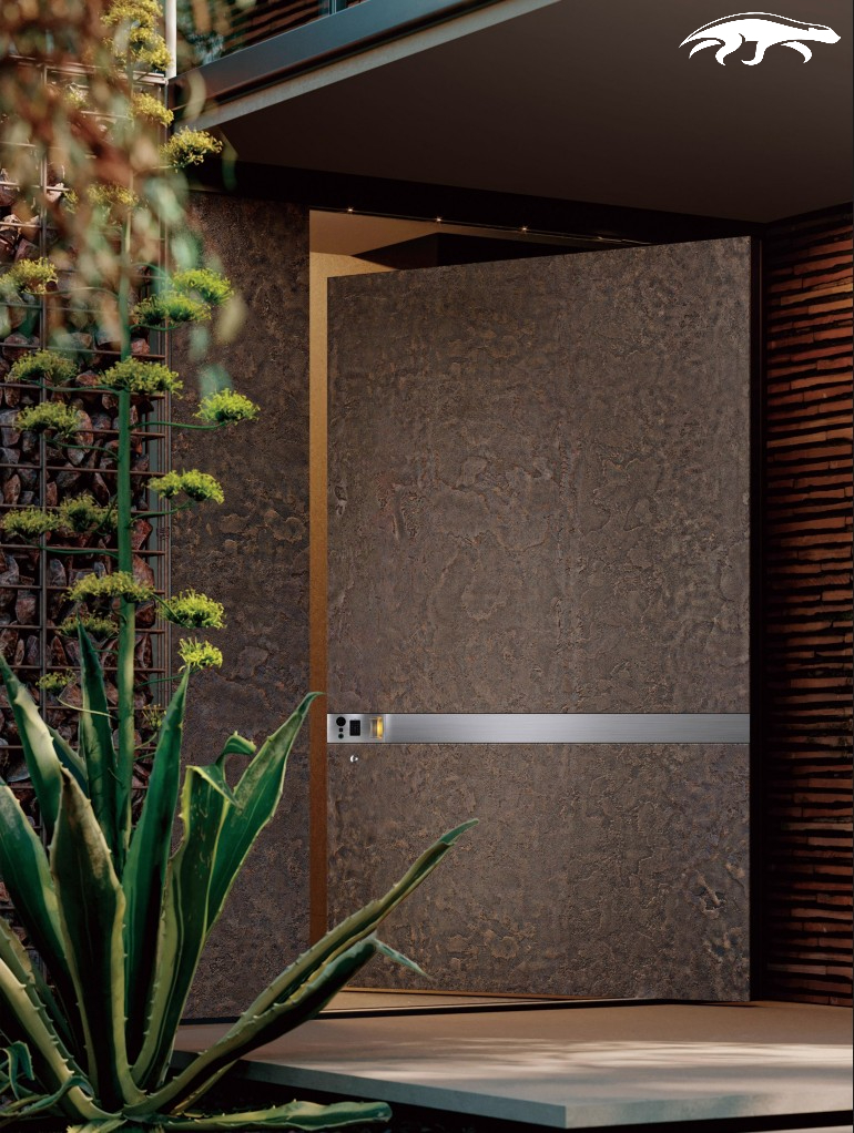 Door F210BS