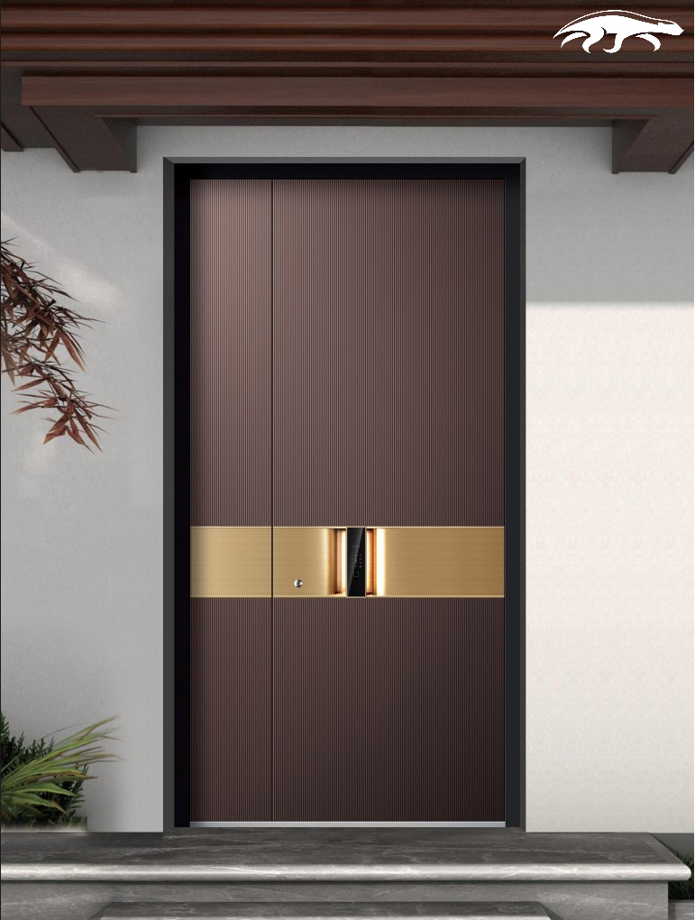 Door T21 